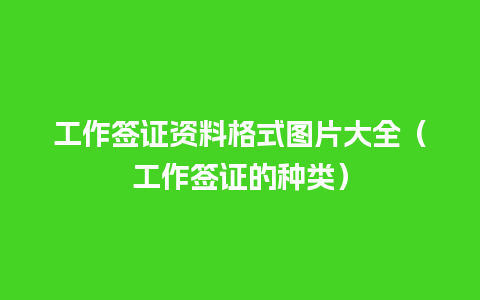 工作签证资料格式图片大全（工作签证的种类）