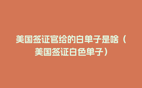 美国签证官给的白单子是啥（美国签证白色单子）