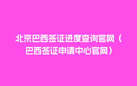 北京巴西签证进度查询官网（巴西签证申请中心官网）