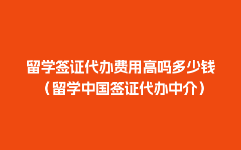 留学签证代办费用高吗多少钱（留学中国签证代办中介）