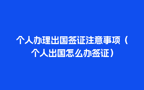 个人办理出国签证注意事项（个人出国怎么办签证）