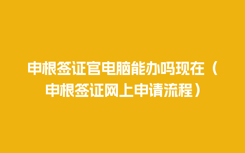 申根签证官电脑能办吗现在（申根签证网上申请流程）