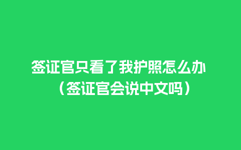 签证官只看了我护照怎么办 （签证官会说中文吗）