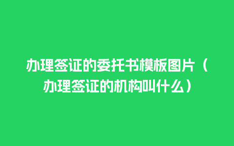 办理签证的委托书模板图片（办理签证的机构叫什么）