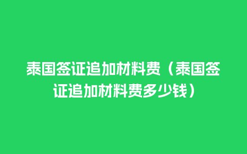 泰国签证追加材料费（泰国签证追加材料费多少钱）