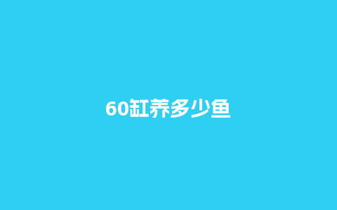 60缸养多少鱼