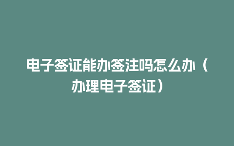 电子签证能办签注吗怎么办（办理电子签证）