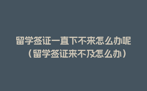 留学签证一直下不来怎么办呢 （留学签证来不及怎么办）