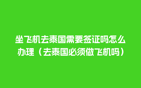 坐飞机去泰国需要签证吗怎么办理（去泰国必须做飞机吗）