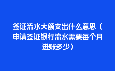 签证流水大额支出什么意思（申请签证银行流水需要每个月进账多少）