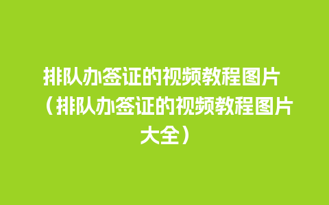 排队办签证的视频教程图片 （排队办签证的视频教程图片大全）