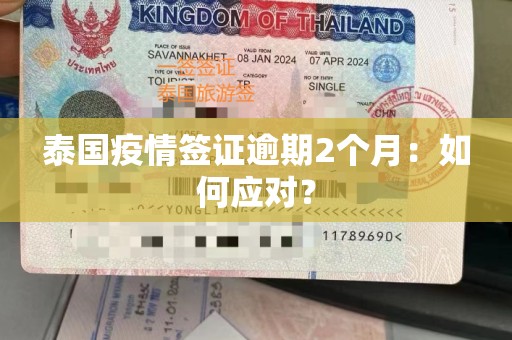 泰国疫情签证逾期2个月：如何应对？