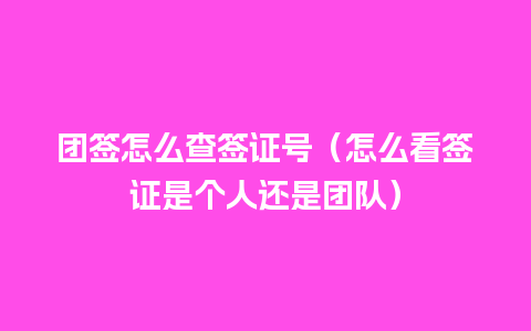 团签怎么查签证号（怎么看签证是个人还是团队）