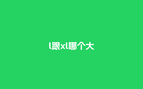 l跟xl哪个大