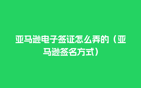 亚马逊电子签证怎么弄的（亚马逊签名方式）