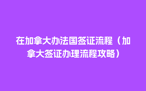 在加拿大办法国签证流程（加拿大签证办理流程攻略）