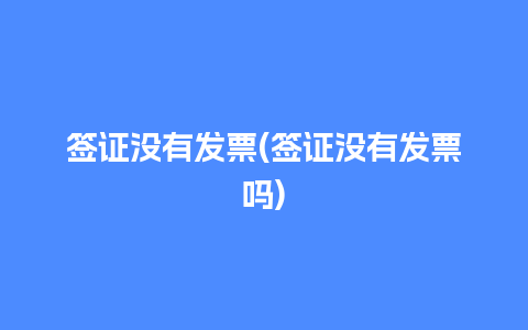 签证没有发票(签证没有发票吗)