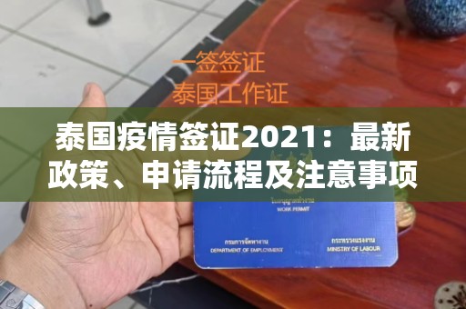 泰国疫情签证2024：最新政策、申请流程及注意事项