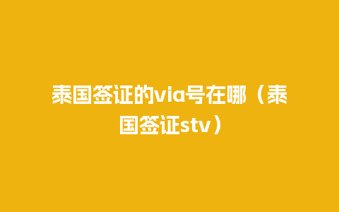 泰国签证的via号在哪（泰国签证stv）