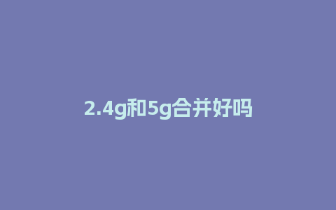 2.4g和5g合并好吗