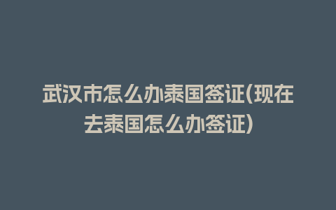 武汉市怎么办泰国签证(现在去泰国怎么办签证)