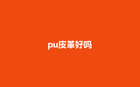 pu皮革好吗