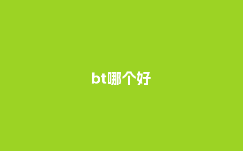 bt哪个好