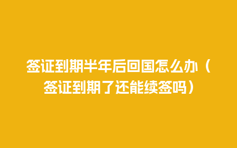 签证到期半年后回国怎么办（签证到期了还能续签吗）