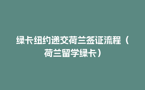 绿卡纽约递交荷兰签证流程（荷兰留学绿卡）