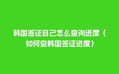 韩国签证自己怎么查询进度（如何查韩国签证进度）