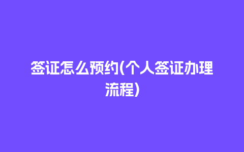 签证怎么预约(个人签证办理流程)