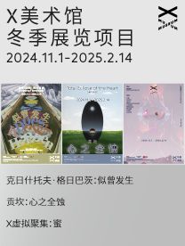 X美术馆｜北京冬季展览项目【三展通票】