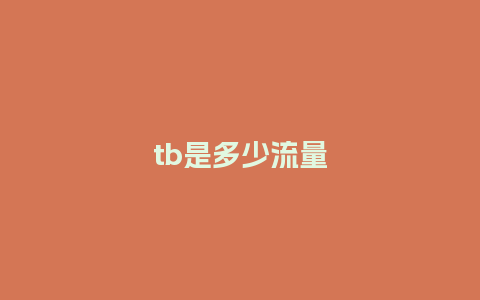 tb是多少流量