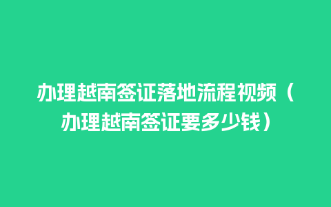 办理越南签证落地流程视频（办理越南签证要多少钱）