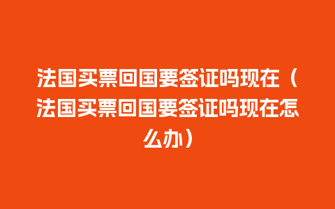 法国买票回国要签证吗现在（法国买票回国要签证吗现在怎么办）