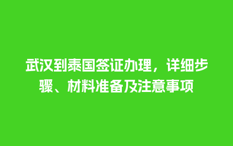 武汉到泰国签证办理，详细步骤、材料准备及注意事项