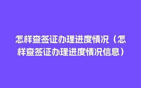 怎样查签证办理进度情况（怎样查签证办理进度情况信息）