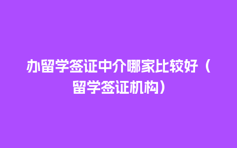 办留学签证中介哪家比较好（留学签证机构）