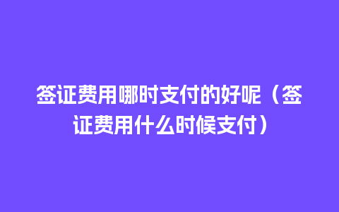 签证费用哪时支付的好呢（签证费用什么时候支付）