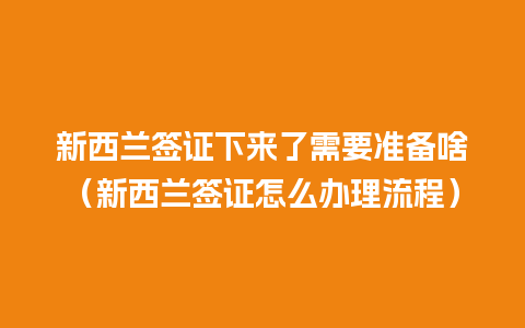 新西兰签证下来了需要准备啥（新西兰签证怎么办理流程）