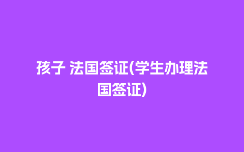 孩子 法国签证(学生办理法国签证)