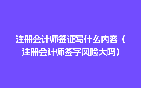 注册会计师签证写什么内容（注册会计师签字风险大吗）