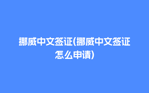 挪威中文签证(挪威中文签证怎么申请)