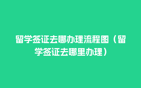 留学签证去哪办理流程图（留学签证去哪里办理）